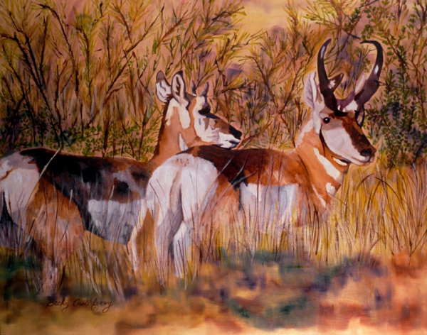 Click here to view In The Wild by Becky Castleberry